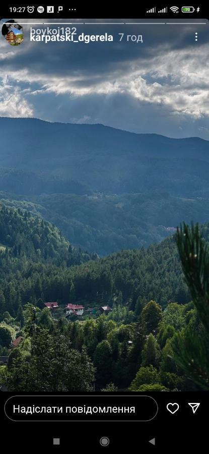 Лісова Казка Villa Yaremche Luaran gambar