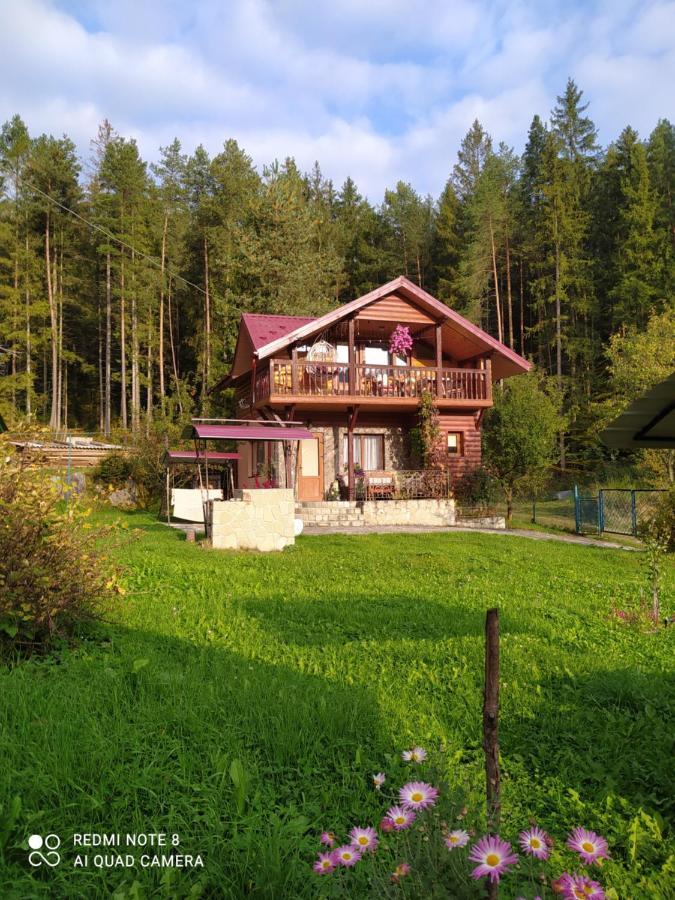 Лісова Казка Villa Yaremche Luaran gambar