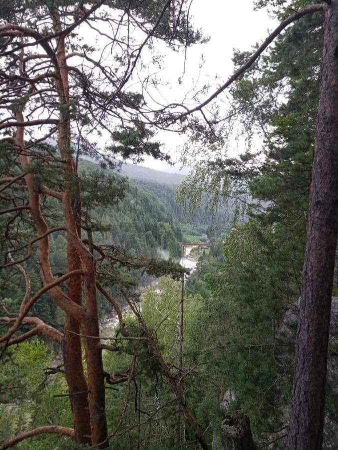 Лісова Казка Villa Yaremche Luaran gambar