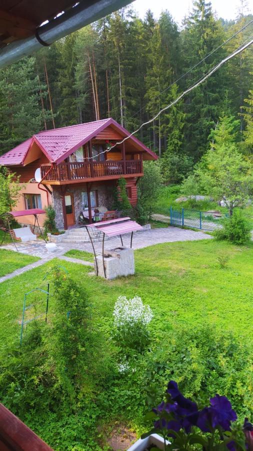 Лісова Казка Villa Yaremche Luaran gambar