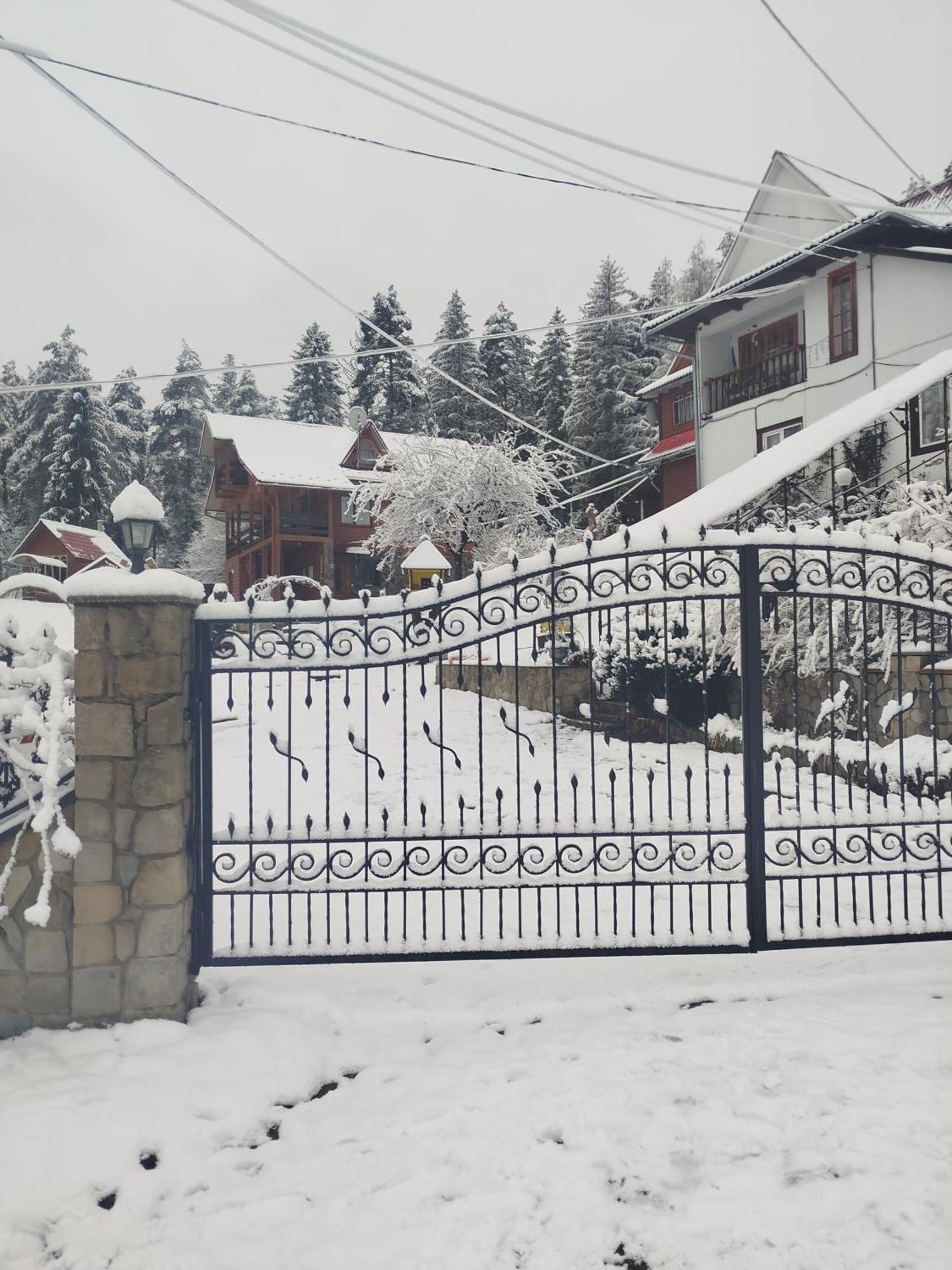 Лісова Казка Villa Yaremche Luaran gambar