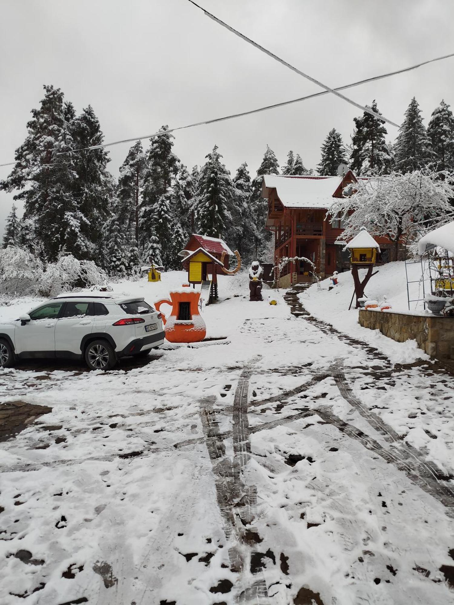 Лісова Казка Villa Yaremche Bilik gambar
